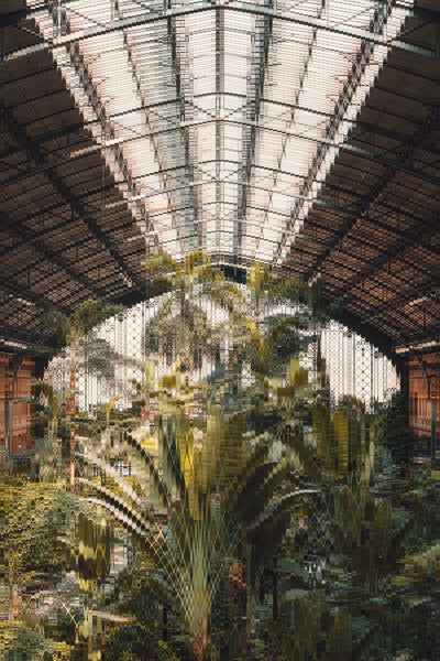 142-Artificial*Jungle Atocha*04Rmx