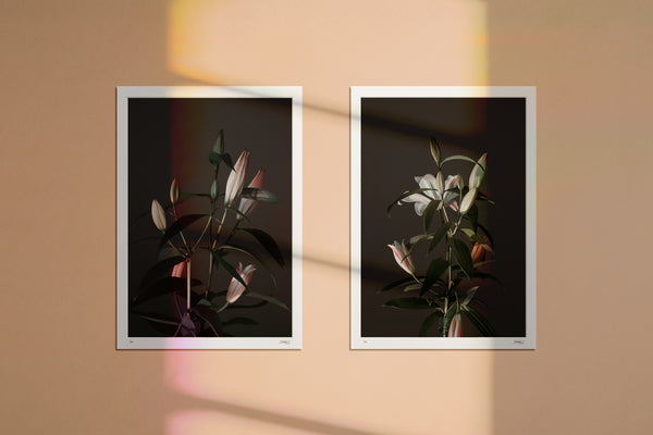 0146-Lilies*Diptych