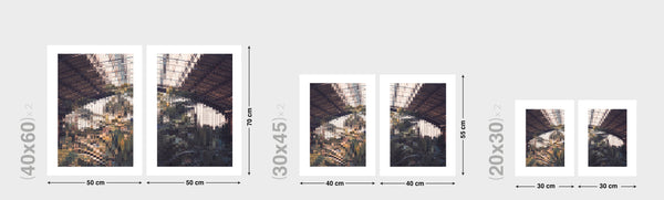 0132-AtochaRemixed*Diptych