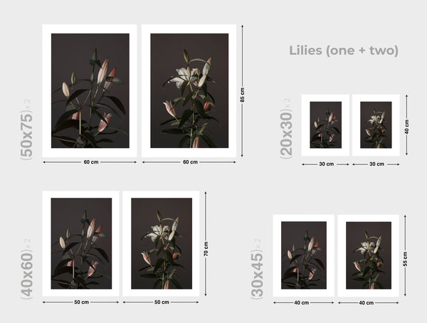 0146-Lilies*Diptych